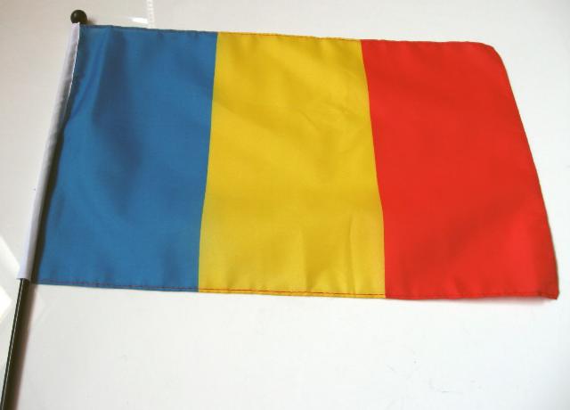 Handheld Car Flag (30x45cm)
