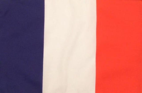 Handheld Flag with Stick – France (30x45cm)